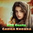 Zps Geets