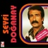 Seyfi Doğanay