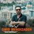 Omid Mehdizadeh