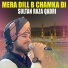 Sultan Raza Qadri