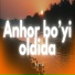 Botir