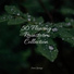 Sleep Songs 101, Nature Chillout, Rainfall