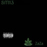 SM13