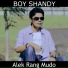 Boy Shandy