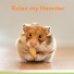 The Hamster Helper