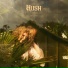 Hush
