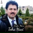 Teha Hacî