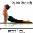 SpiritFit Music