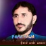 Said Wali Wazir
