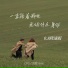 CR3., 沈卿Senki
