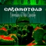 Chromotoad