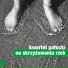 Kwartet Palucki