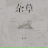 杨一周
