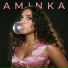 AminKa