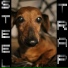 Steel Trap