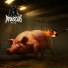 Amduscias Heirs
