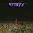 TwentySix66