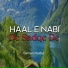 Salman Haider