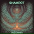 Shampot