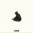 OVN
