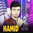 Hamid Dil Soz