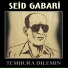 Seid Gabari
