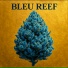 Bleu Reef