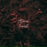Old Beam