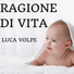 Luca Volpe