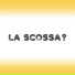 Cloaca25