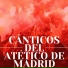 Atleti Ultras Colchoneros