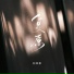 赵政豪