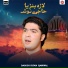 Danish Irfan Qawwal