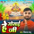 Vikash Basu