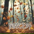 普世禅