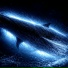 The Stellar Leviathan, Enether