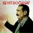 Seyfi Doğanay