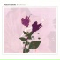 Shells Rattle Radio 043