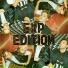 EXP EDITION