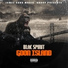 Blac Spirit