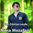 Nima Mozafarii