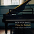 Rob van Bavel