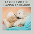 Sleeping Music For Dogs