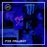 Fzr Project