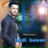 Hadi bawan