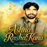 Shahensha bacha