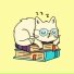 Hazen Cantor, Chill Kitten