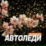 MySchool