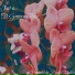 Rcycld.Matrl feat. Geneva rose miller