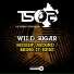 Wild Sugar (The Sound Of Brooklyn Records)